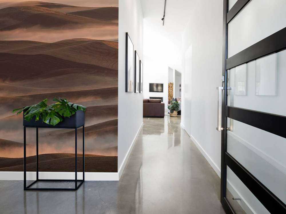 Early Spring Morning at Palouse