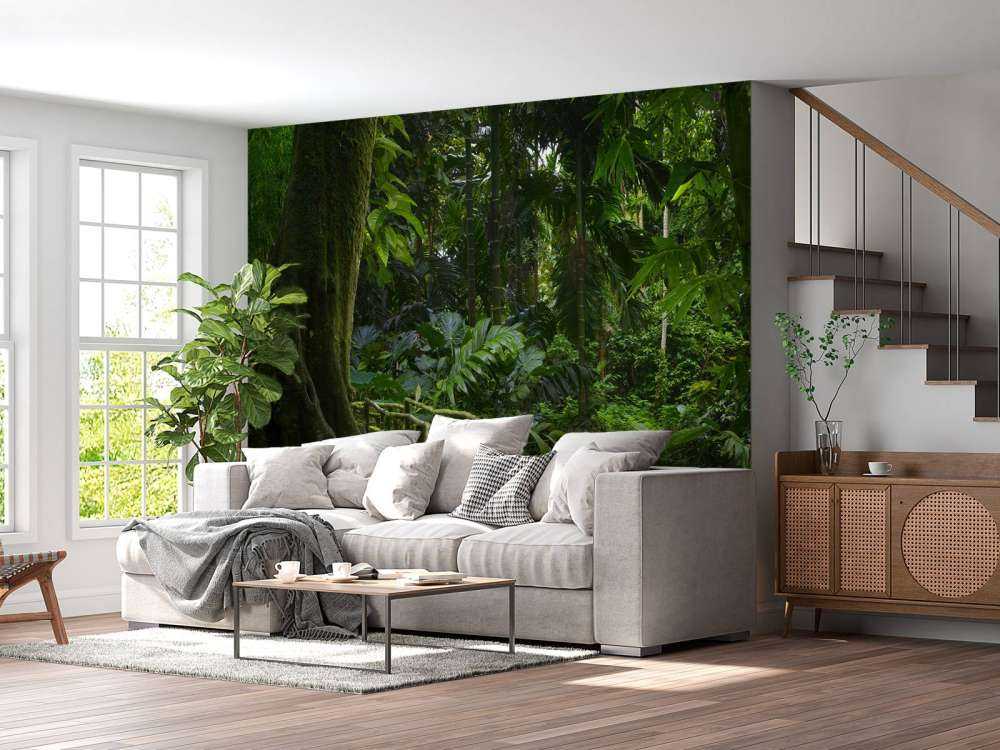 Narrow jungle bridge