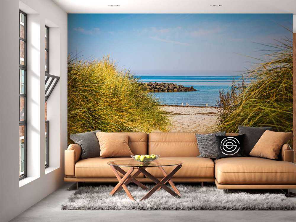 Beach at the Baltic Sea Coast