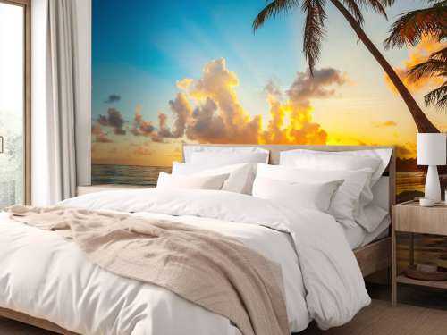 Sunset with palm trees