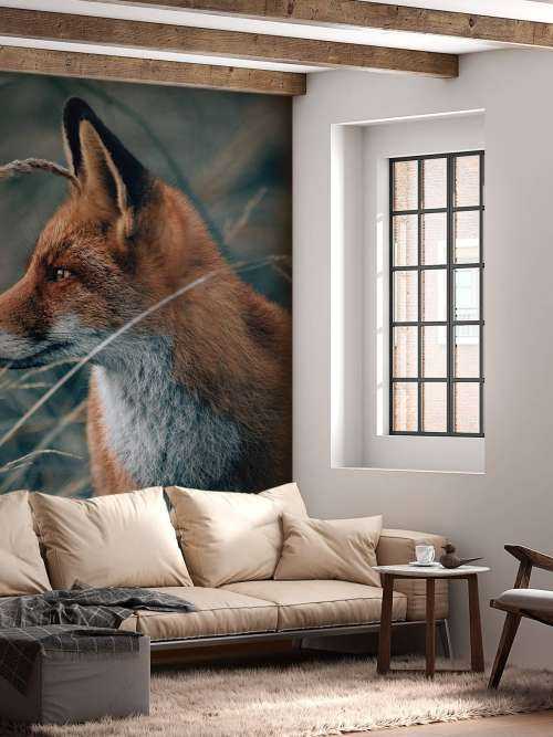 Fox in the dunes