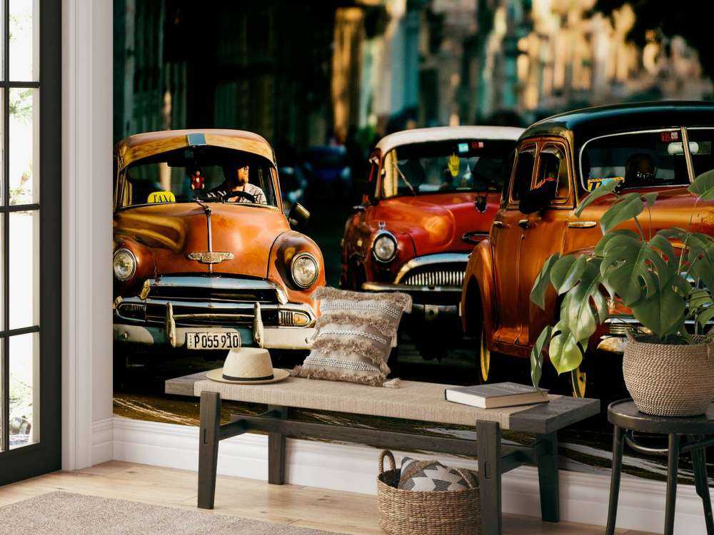 Come with me in the morning light