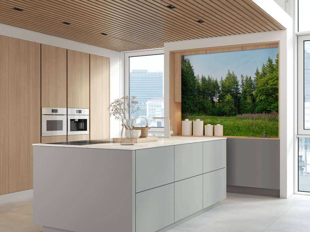 Open space in the forest