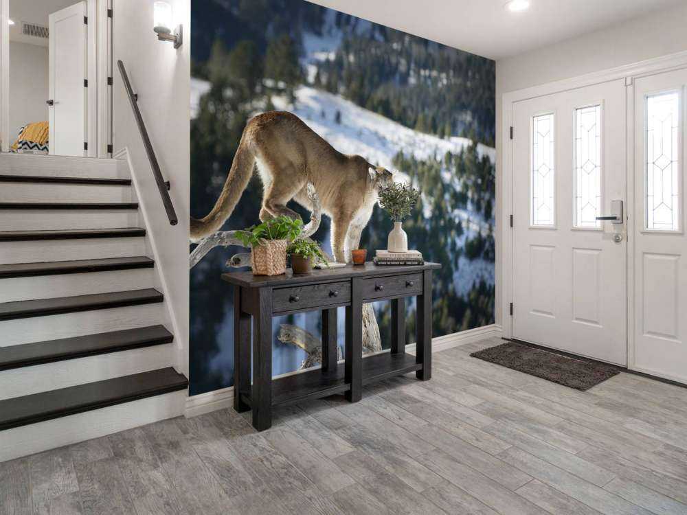 Mountain lion on a dead tree