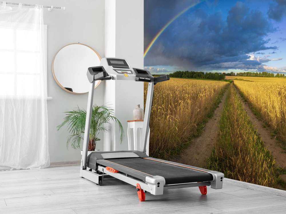 Rainbow over a wheat field