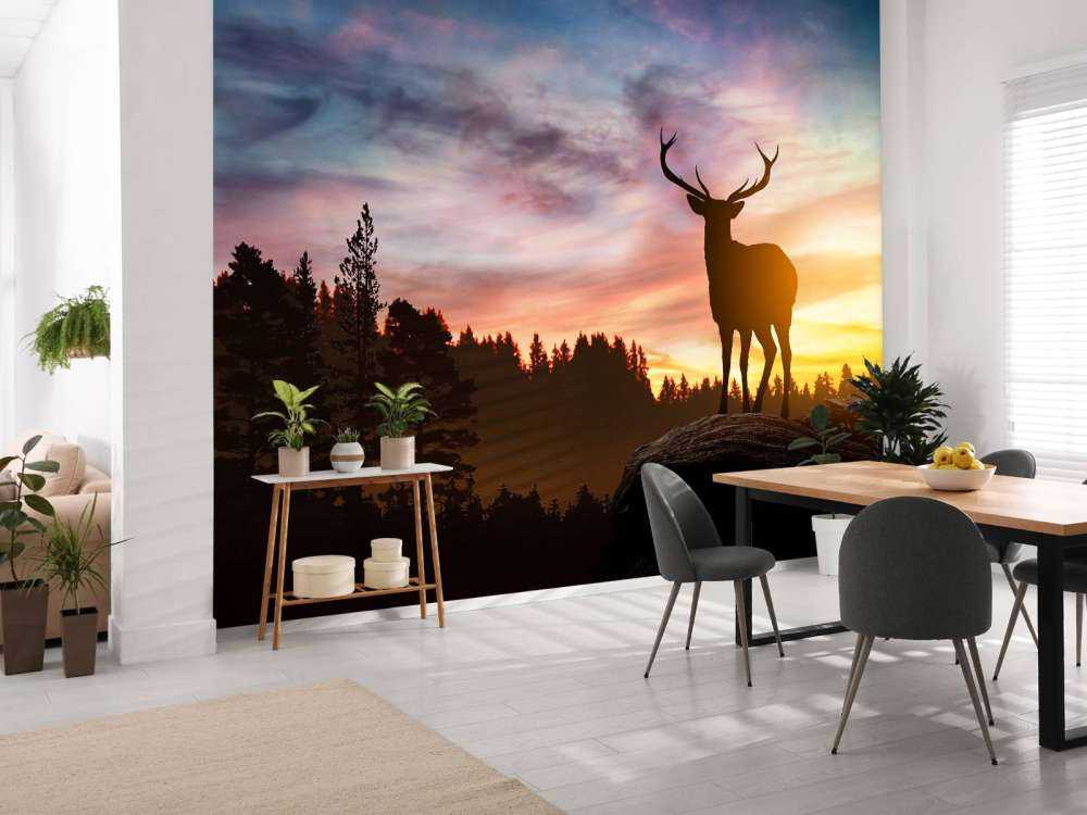 Deer with sunset
