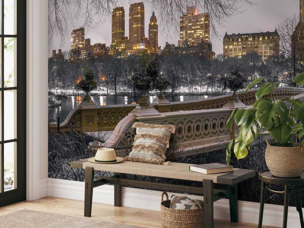 Central park and Manhattan