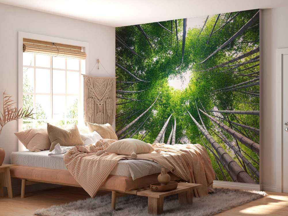 Forest with bamboo