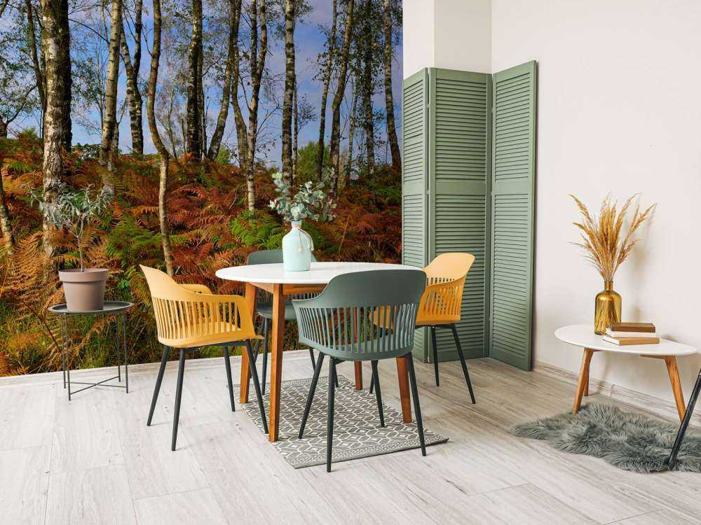 Birches with coloured ferns