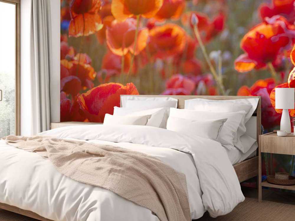 Poppies and cornflowers