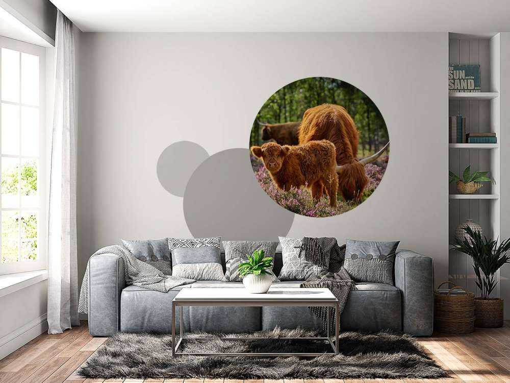 Family Scottish Highlanders