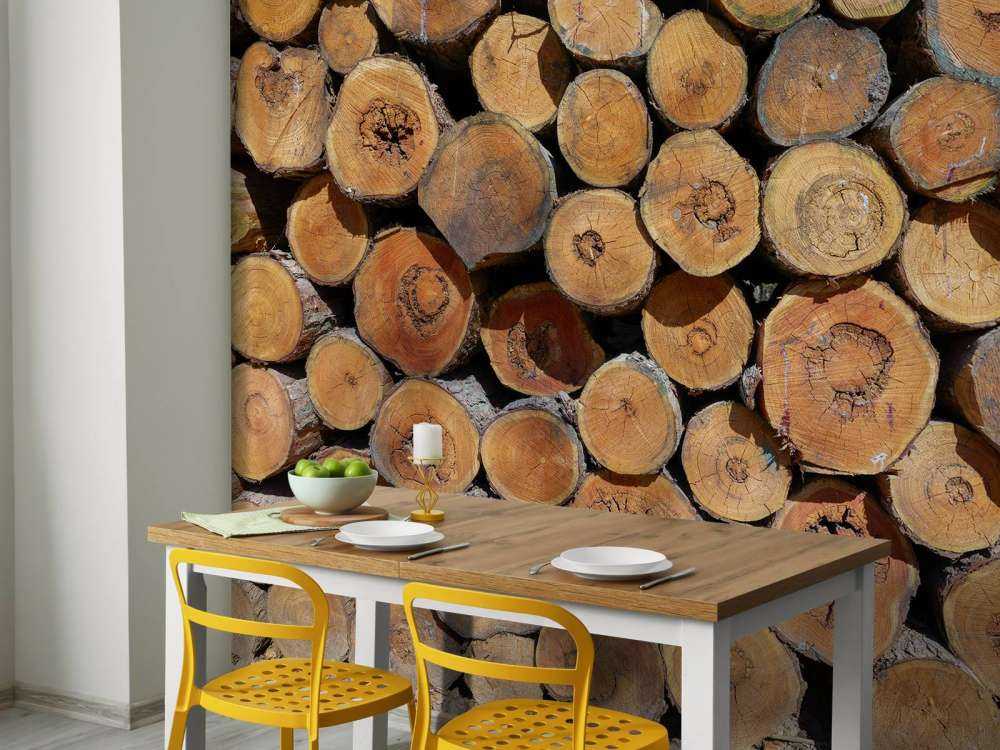 Pile of tree trunks