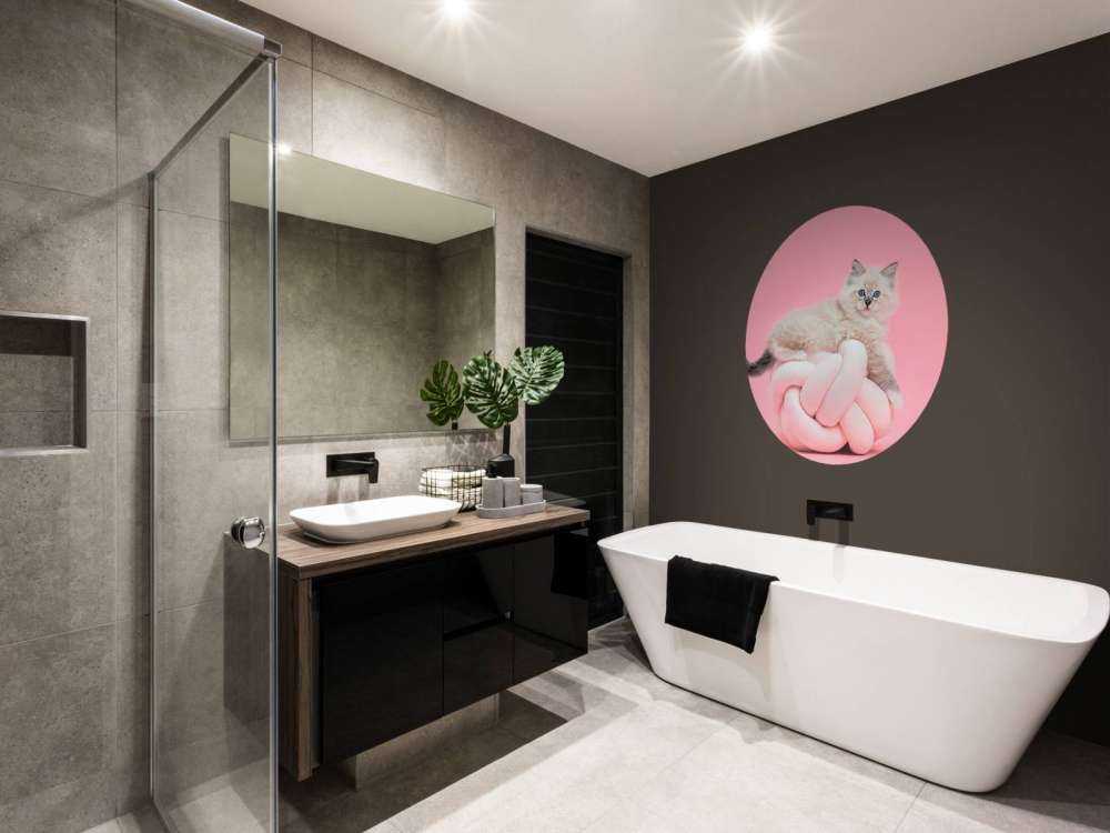 White cat on pink background