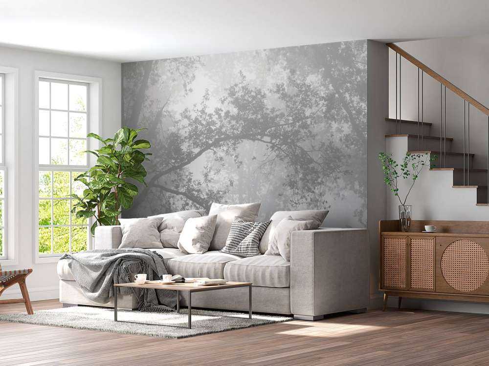 Beautiful forest in the fog