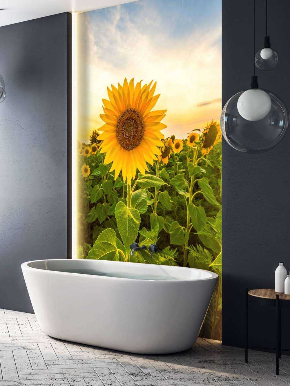 Sunflower in the field