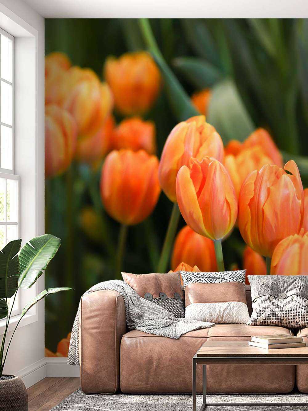 Orange Tulips