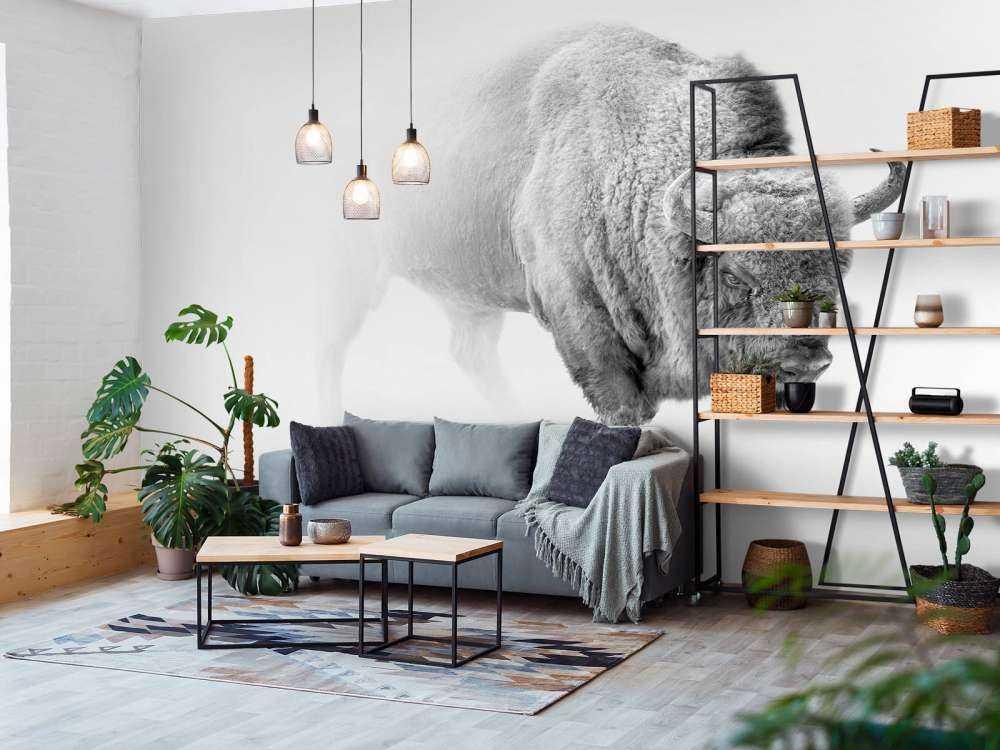 Bison black, white