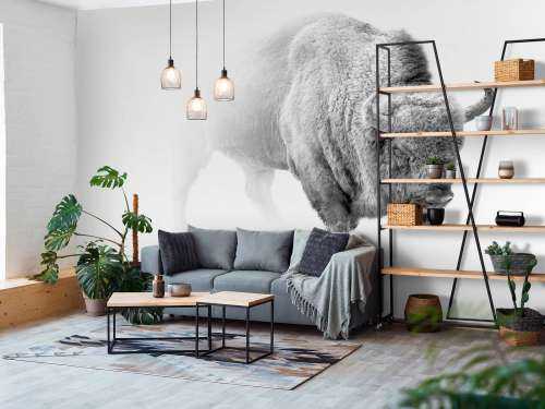 Bison black, white