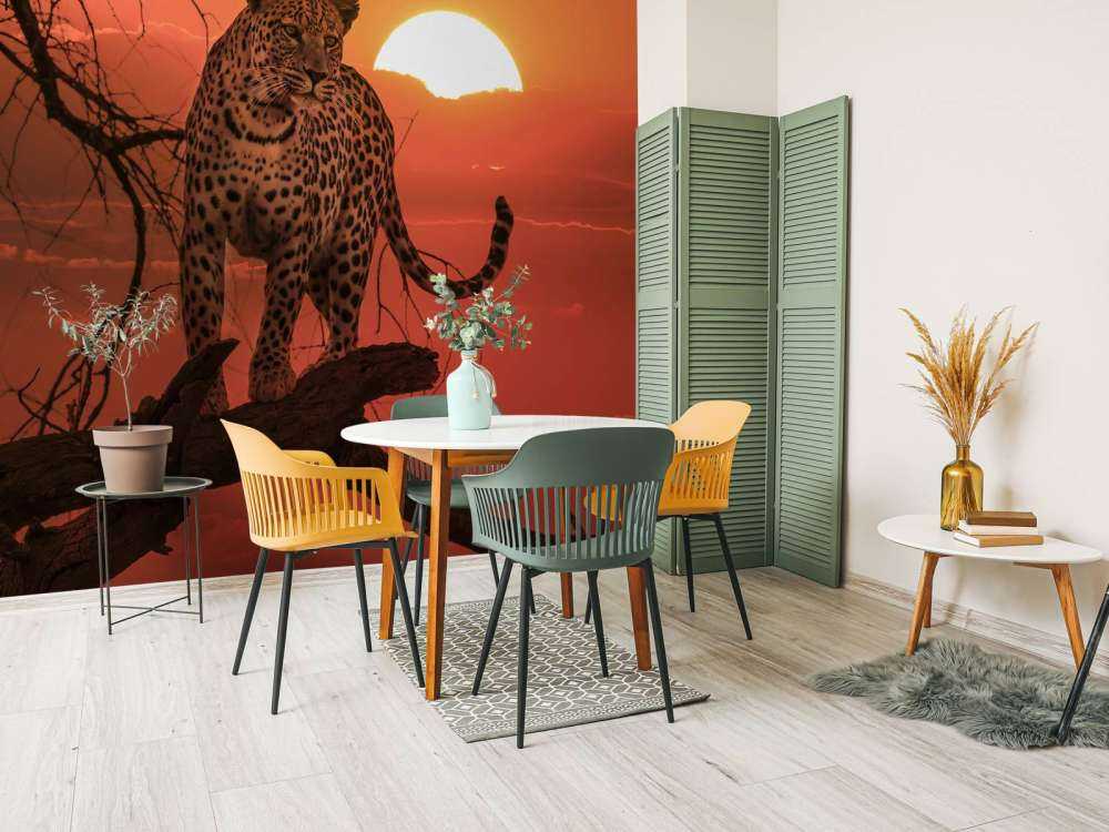 Leopard with setting sun