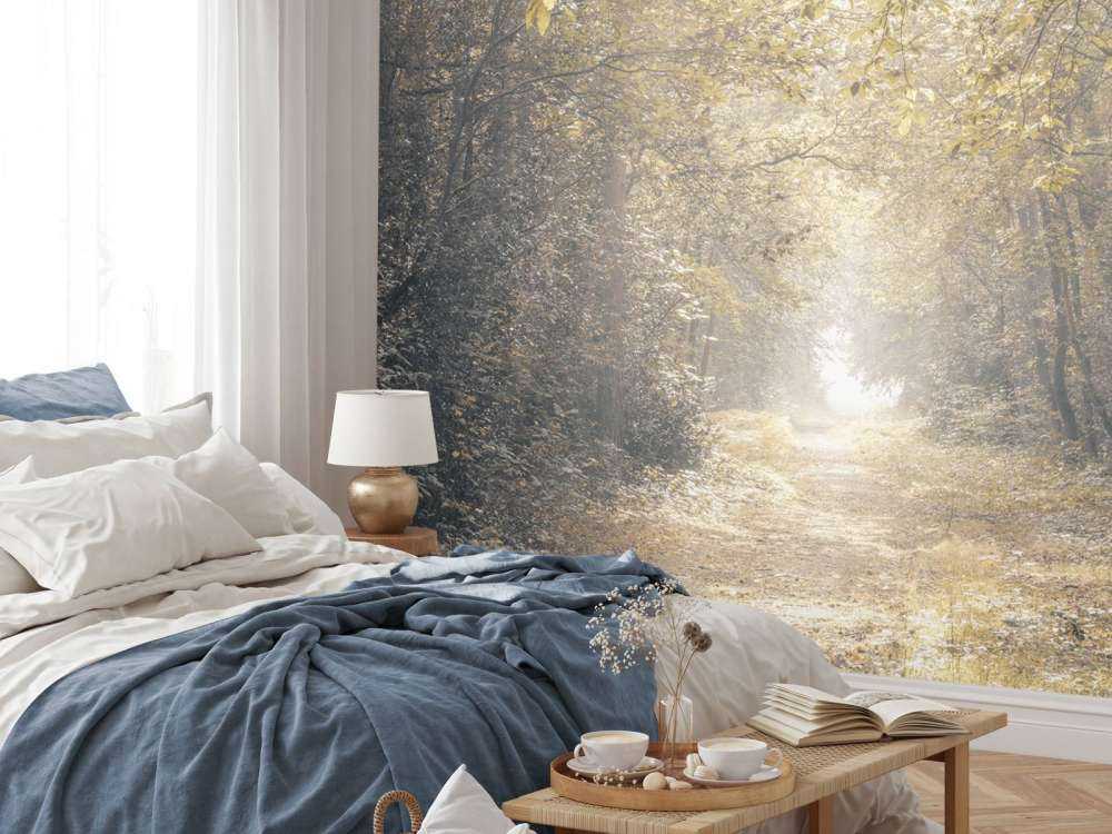 Path through a deserted forest