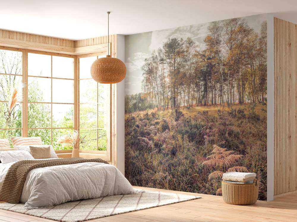 Forest in the morning