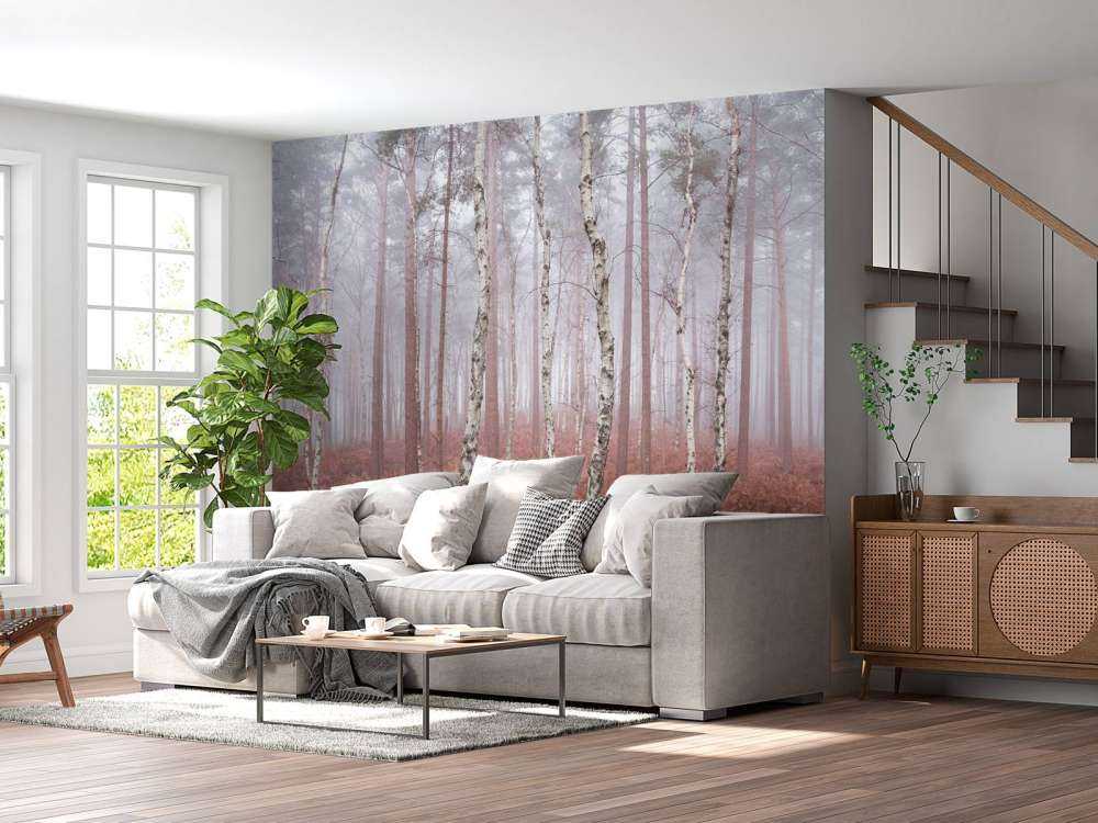 Deserted foggy forest