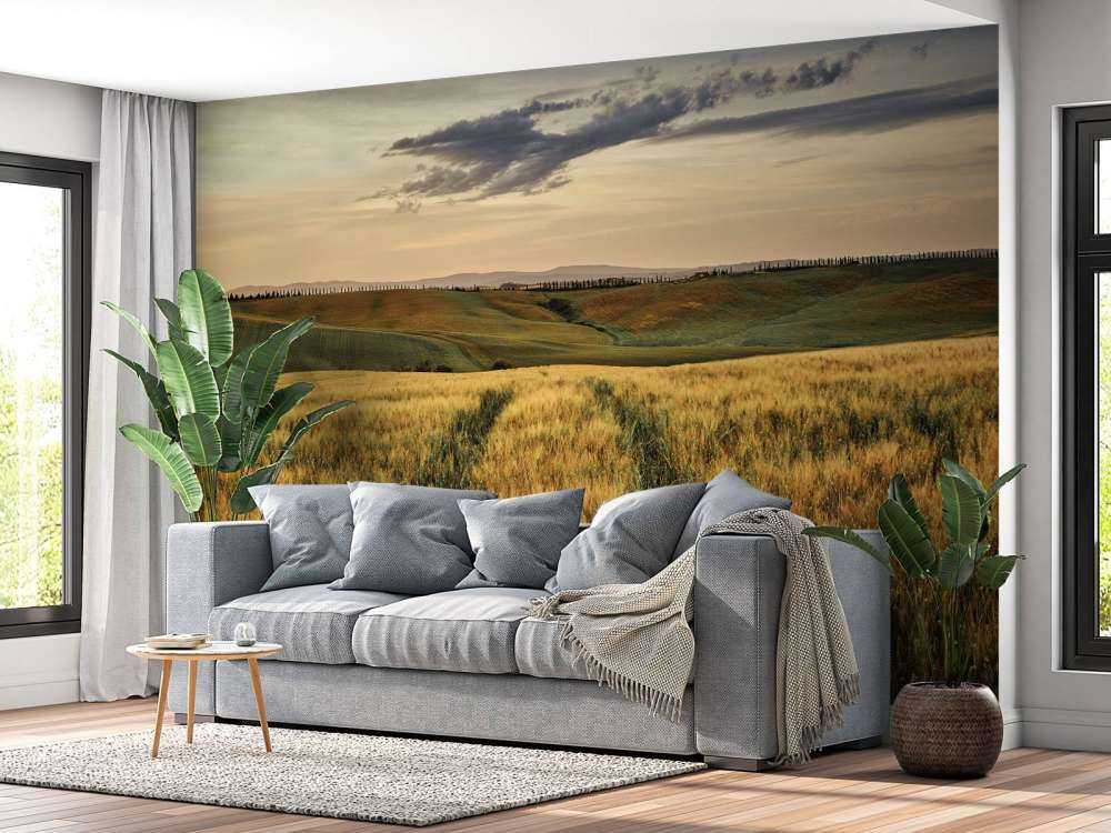 Grain field with tracks