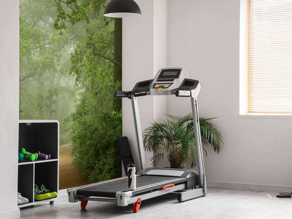 Misty forest with path