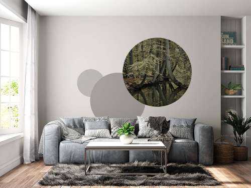 Stream with hanging trees