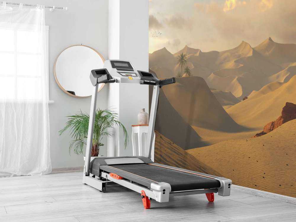 Golden hour in the desert