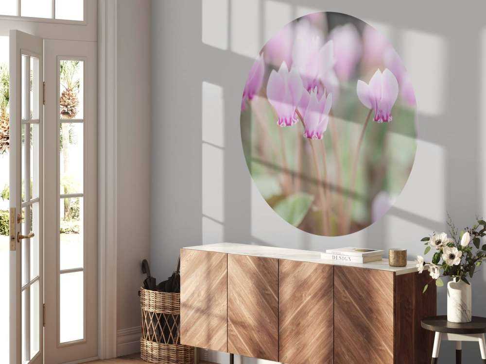 Beautiful ivy flowers