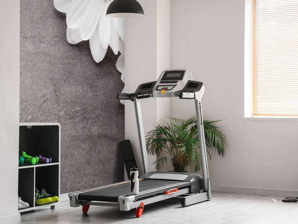 Daisies and concrete