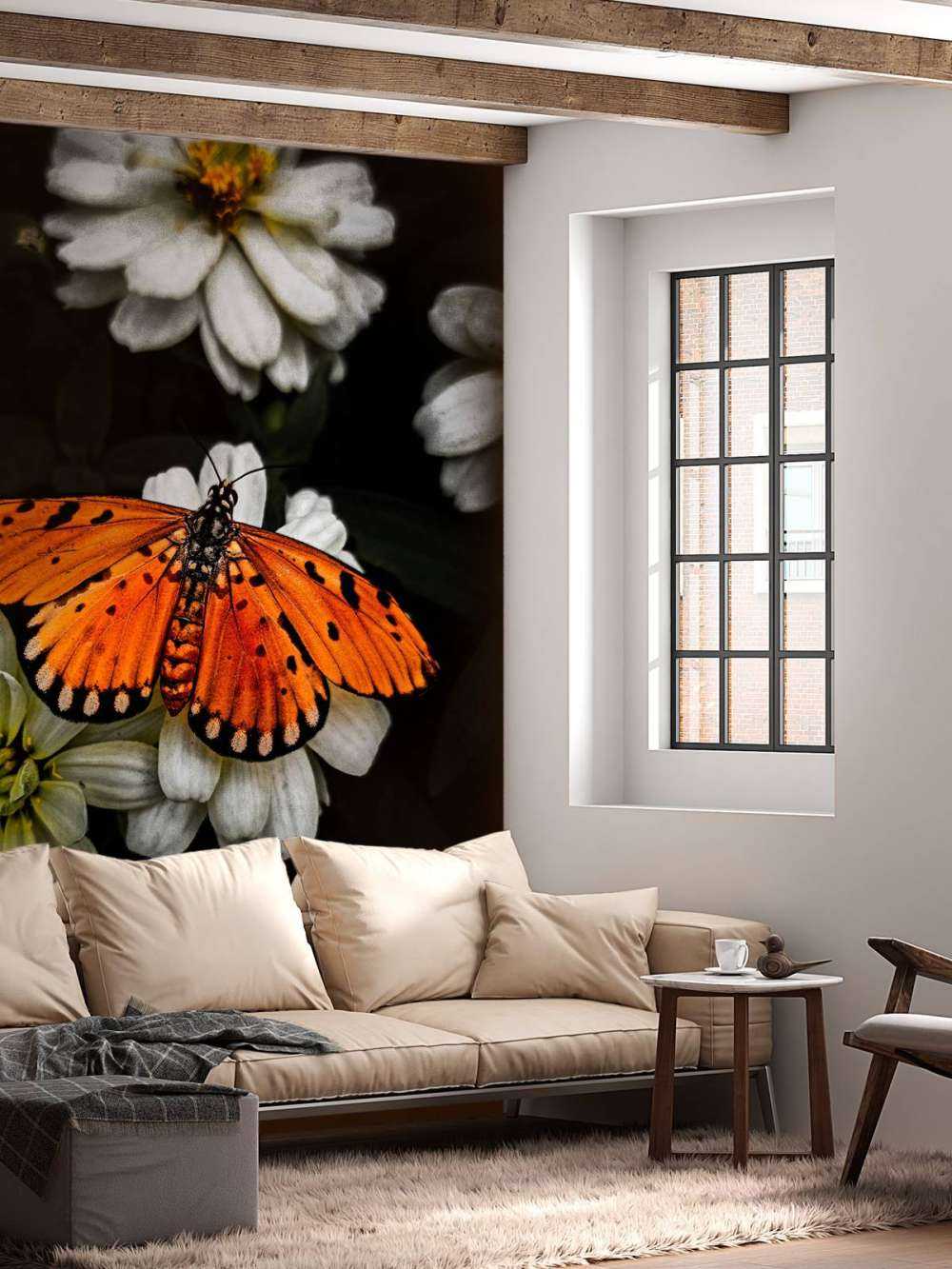 Monarch butterfly on a flower