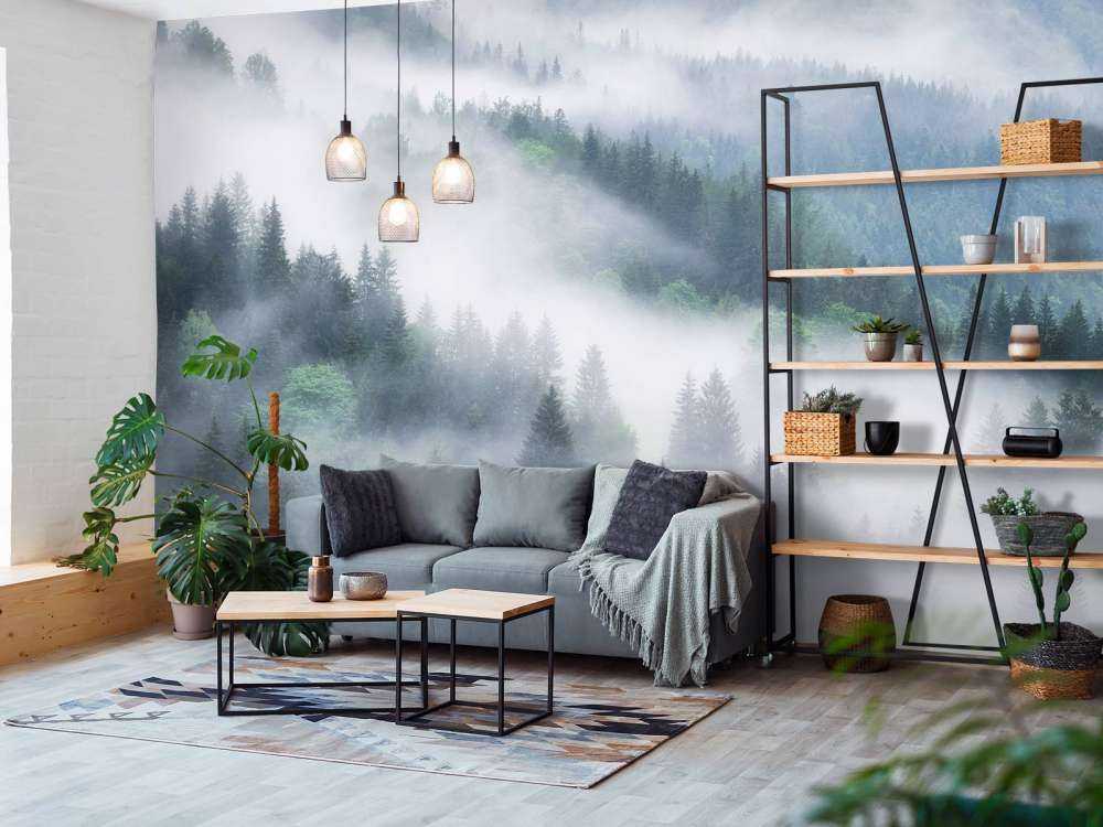 Foggy forest in the mountains