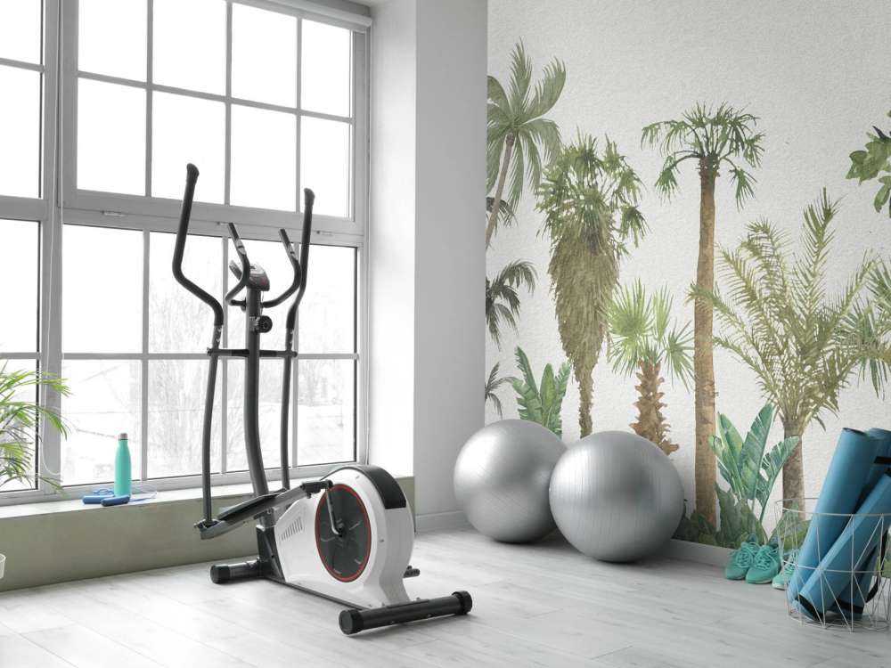 Tropical trees and plants