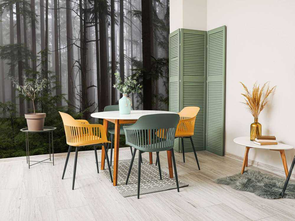 Forest during a foggy day