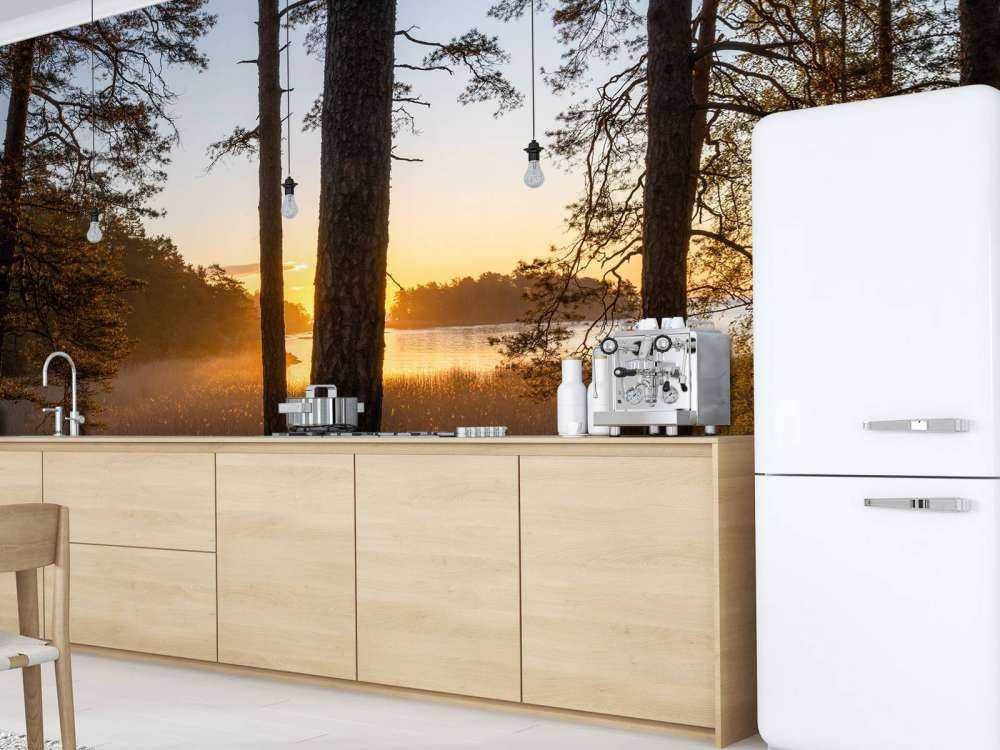 Forest during sunset