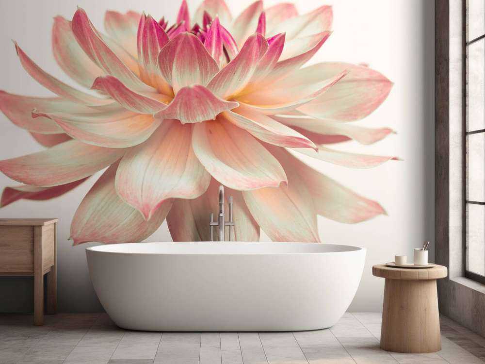 Dahlia flower