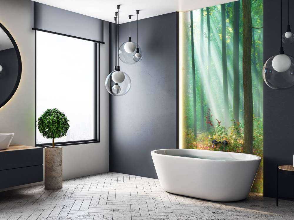 Morning in the woods