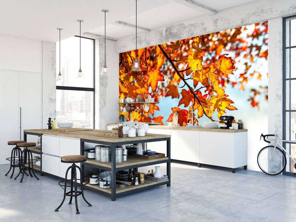 Autumn leaves
