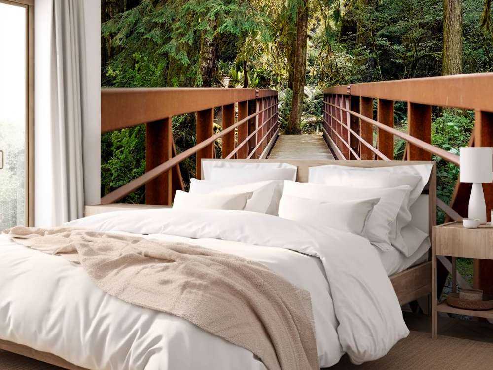 Rusty bridge in the forest 