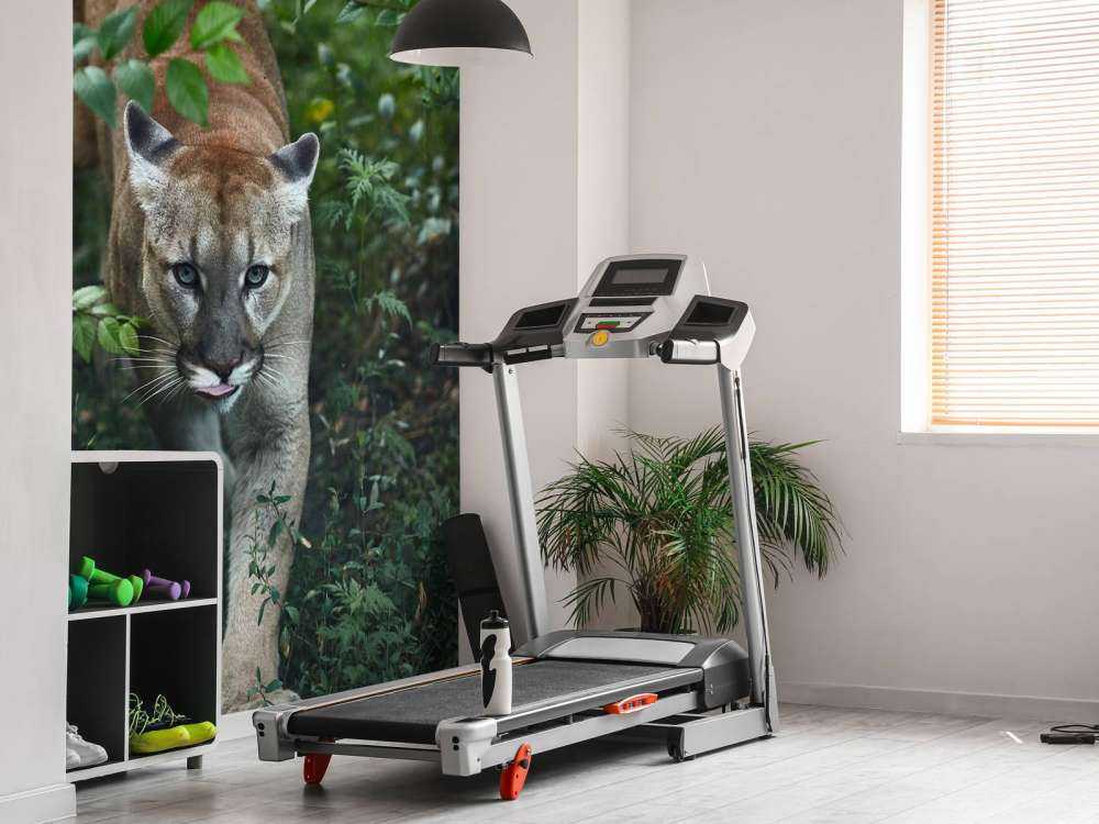 Sneaking mountain lion