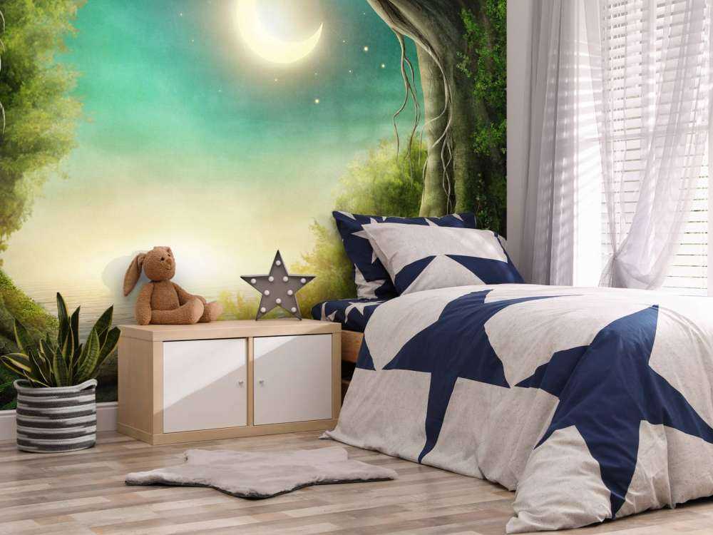 The enchanted forest