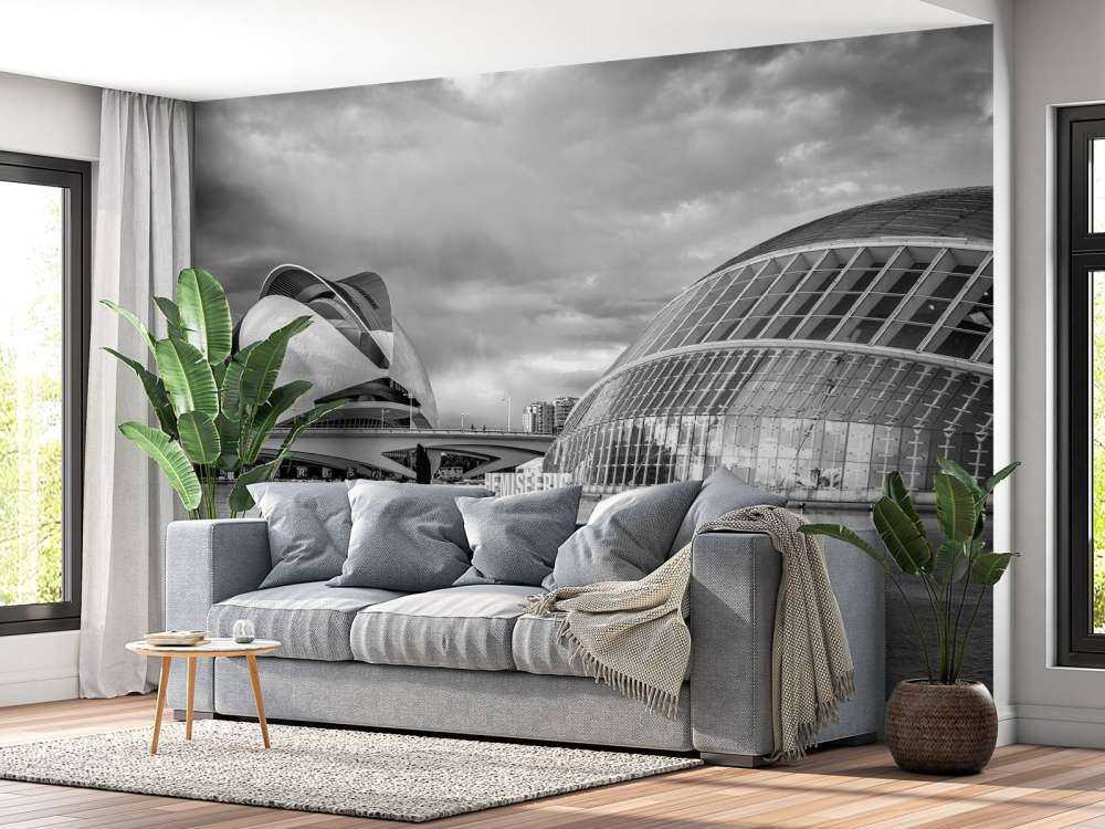 Opera House - Palau de les arts Reina Sofia & Hemisfèric - Valencia