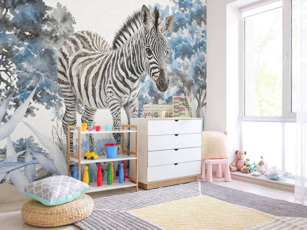 Young zebra in the wild blue