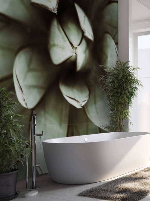 Fat plant