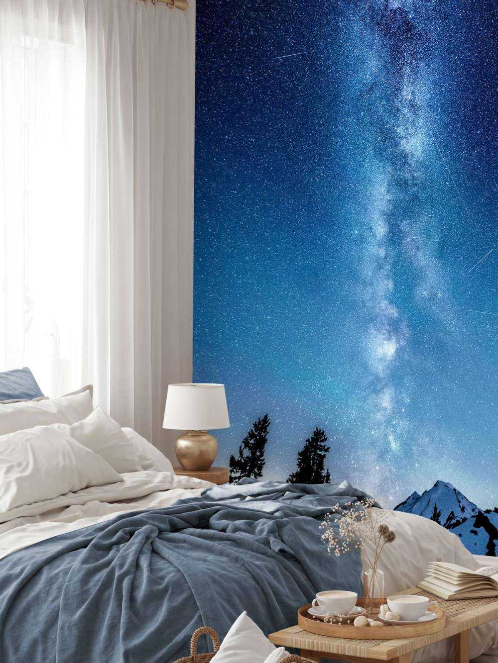 Photo of the Milky Way