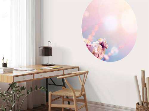 Pink blossom