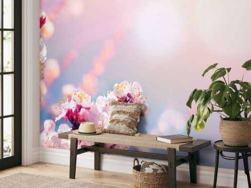 Pink blossom