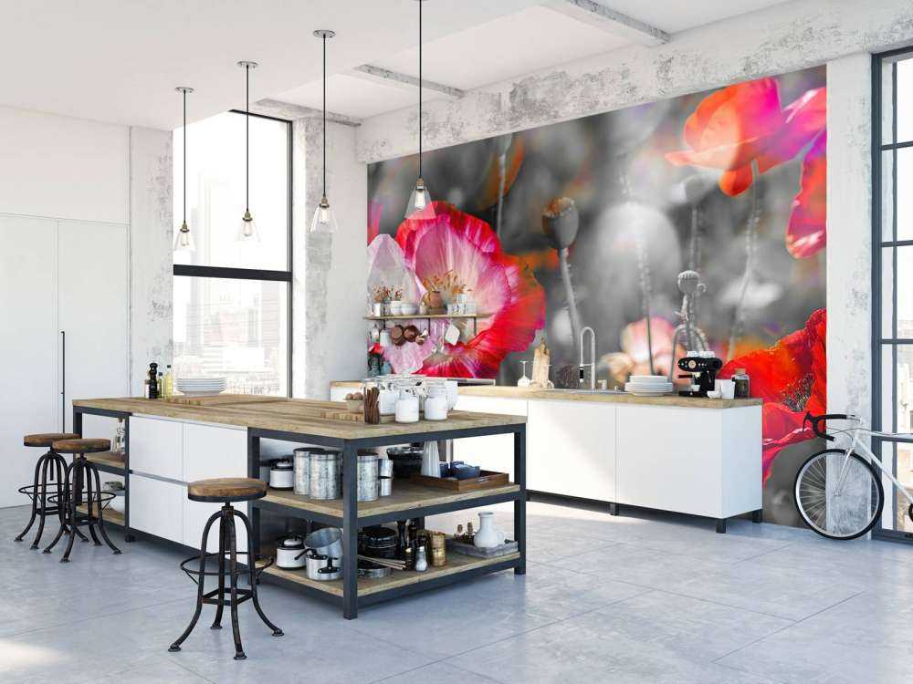 Poppies in black, white, red